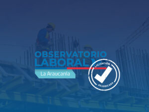 IDER-UFRO se adjudica la ejecución del Observatorio Laboral de La Araucanía 2026