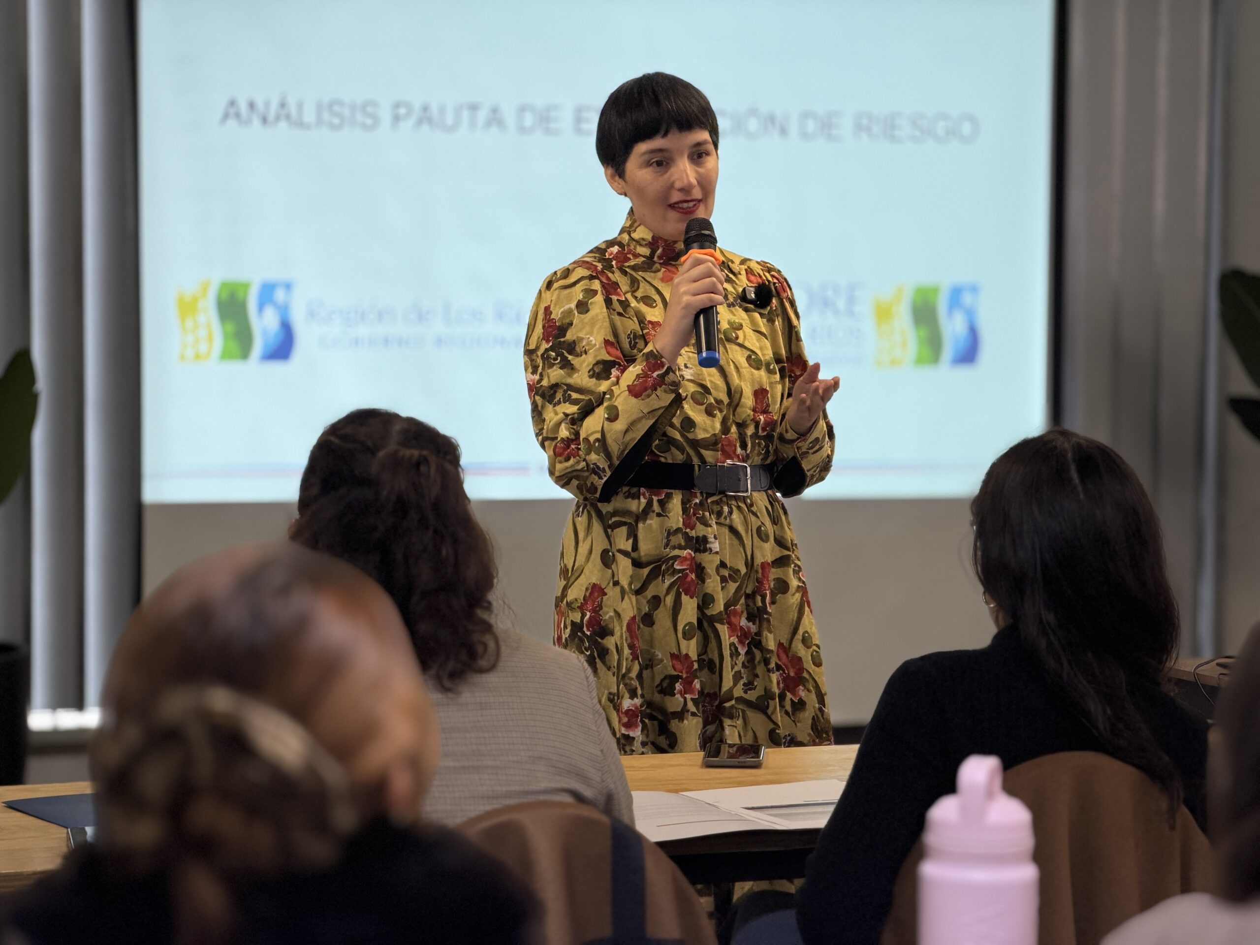 SernamEG Los Ríos fortalece la respuesta del Estado hacia mujeres sobrevivientes de violencia con formación especializada de IDER-UFRO