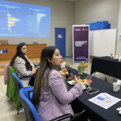 Observatorio Laboral Araucanía lanza oficialmente resultados de ENADEL 2024 e inicia proceso de levantamiento 2025