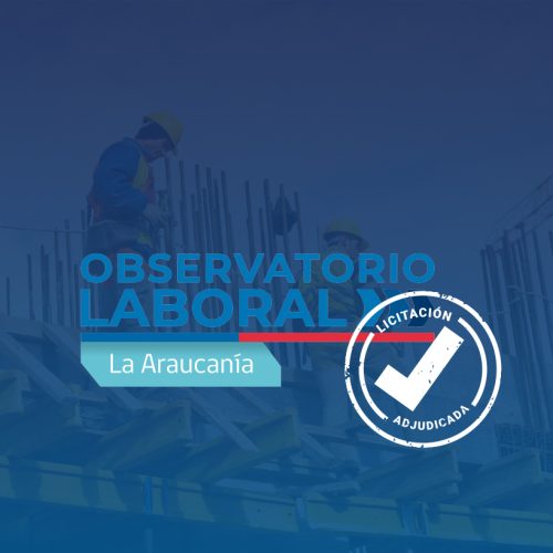 IDER-UFRO se adjudica la ejecución del Observatorio Laboral de La Araucanía 2026