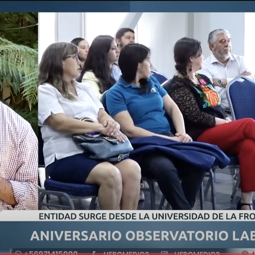 Observatorio Laboral Araucanía: 7 años aportando al desarrollo de Capital Humano desde el territorio