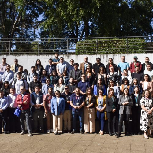 UFRO lidera exitosa implementación de transformación digital en 32 municipios de la región a través de programa “Municipios Conectados La Araucanía”