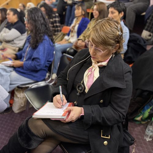 Escuela de Liderazgo del programa SernamEG Los Ríos inicia nueva etapa bajo conducción de IDER UFRO