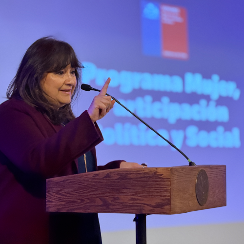 Mujeres líderes de La Araucanía se forman en comunicación efectiva y oratoria para incidir en sus territorios