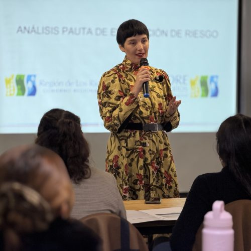 SernamEG Los Ríos fortalece la respuesta del Estado hacia mujeres sobrevivientes de violencia con formación especializada de IDER-UFRO
