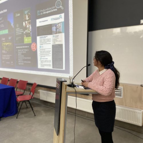 Observatorio Laboral de La Araucanía presenta estudios que revelan los desafíos de educadoras de párvulos y recicladores de base en la región