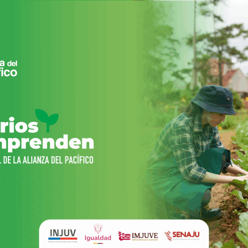 Jóvenes emprendedores rurales de cuatro países dan inicio al programa “Territorios que Emprenden” con apoyo de IDER UFRO