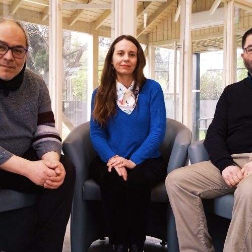 Se publica artículo liderado por investigadora de la Unidad de Redes, Gobernanza y Políticas Públicas del IDER de la Universidad de La Frontera