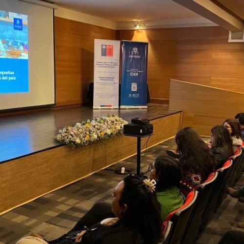 IDER-UFRO en conjunto con la Subsecretaria del Trabajo entregan herramientas a emprendedores para potenciar sus negocios