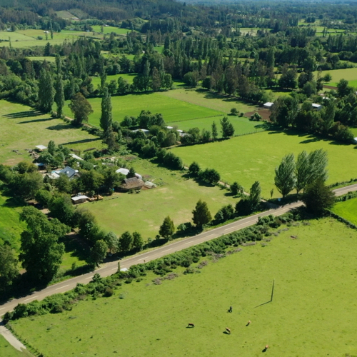 Impulsando la Innovación en el Sur: Comienza el Diplomado de Gestión Territorial a cargo de IDER-UFRO