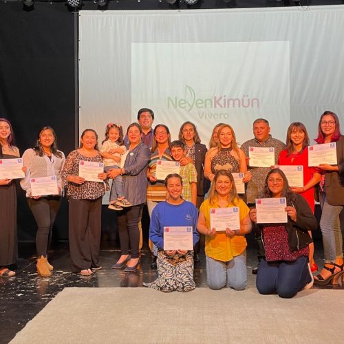 40 Emprendedores De La Araucanía fueron capacitados por IDER-UFRO para potenciar sus negocios