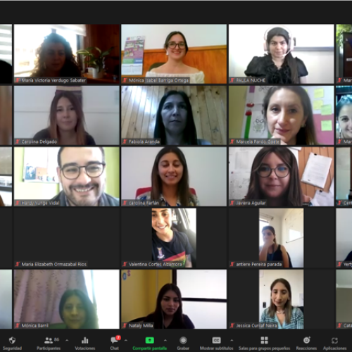 IDER-UFRO certifica a 133 participantes en Diplomado en Políticas de Género desde el Territorio